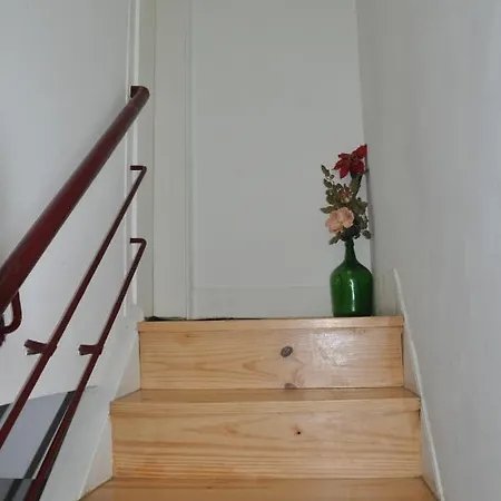 Apartment Koka's